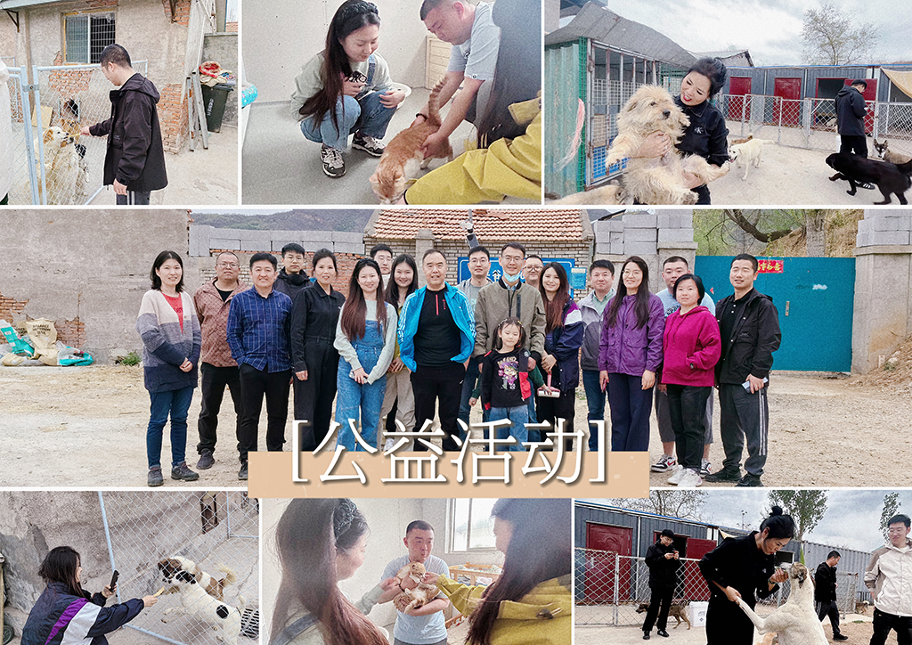 北京盛典博覽公司展現(xiàn)企業(yè)社會(huì)責(zé)任，探訪流浪狗基地并舉辦爬山團(tuán)建